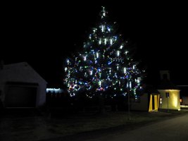 Fotogalerie: Rozsvícení vánočního stromu 2019 #18